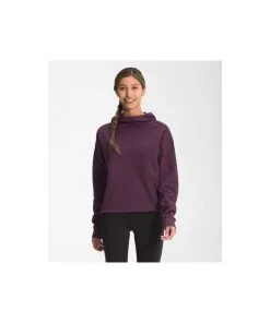 The North Face Women's Canyonlands Pullover Crop