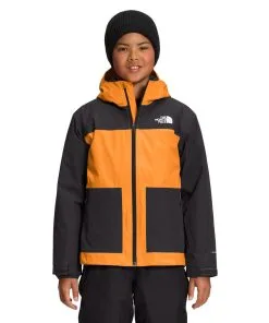 The North Face Boys' Freedom Triclimate