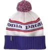 Patagonia Powder Town Beanie