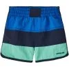 Patagonia Baby Boardshorts