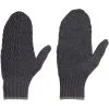 Icebreaker Waypoint Mittens